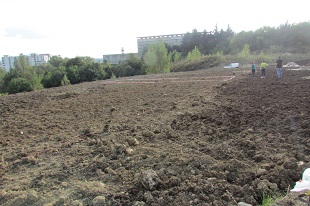 Area orti Macchia Romana